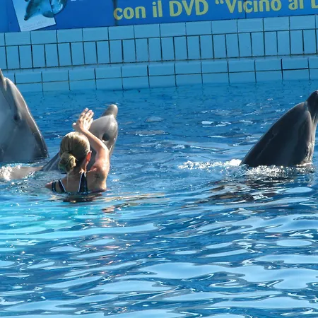 호텔 Ersilia 리미니