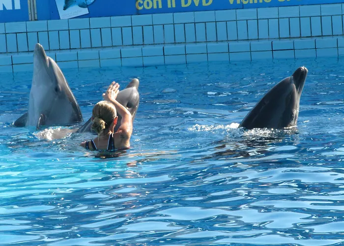 Hotel Ersilia Rimini